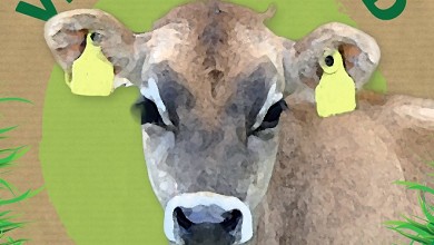 Velf�rdsk�d  - M�n